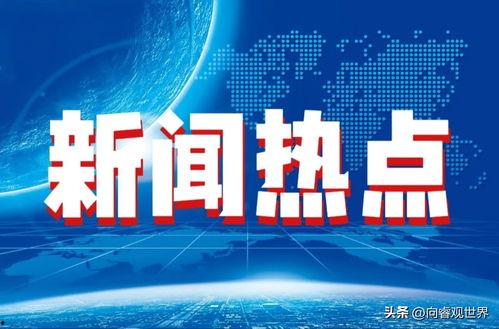 今日十大热点新闻,聚焦时事脉动，洞察社会焦点